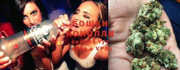 apvp Богородицк