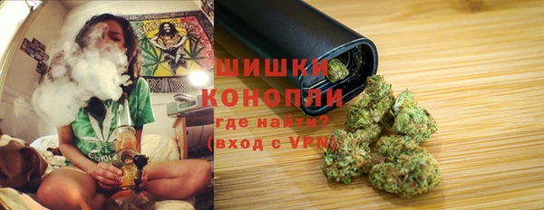 бошки Белокуриха