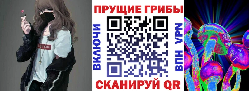 Псилоцибиновые грибы Magic Shrooms  продажа наркотиков  Неман 