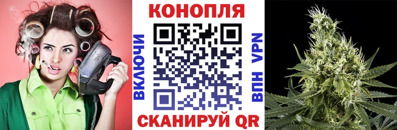 Шишки марихуана план  Неман 